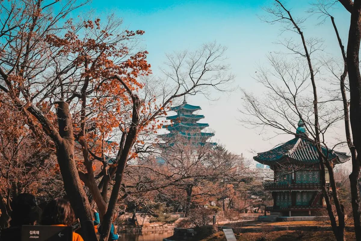 Korean tourist using Naver to research travel destinations in Vietnam