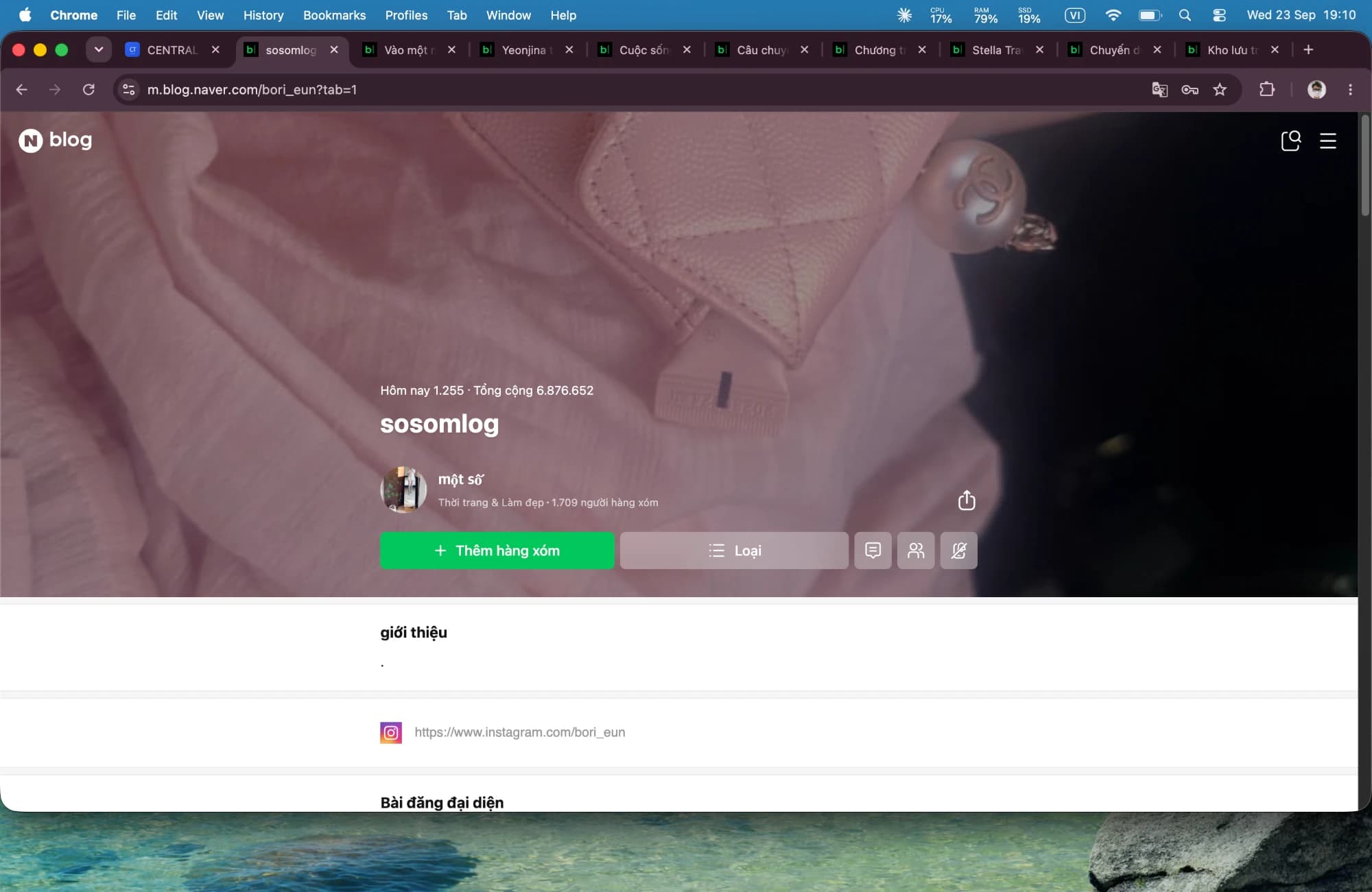 Hồ sơ Naver Blog sosomlog